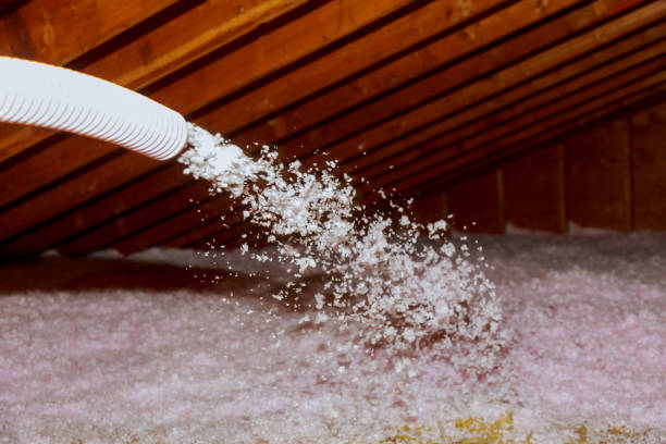 Best Best Insulation Companies  in Cimarron Hills, CO