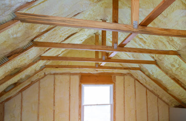 Best Blown-in Insulation  in Cimarron Hills, CO