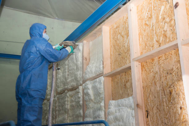 Best Insulation Contractors for Homes  in Cimarron Hills, CO