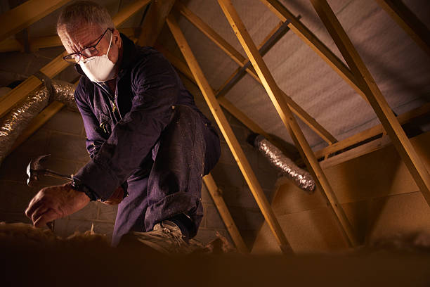 Best Wall Insulation Contractor  in Cimarron Hills, CO